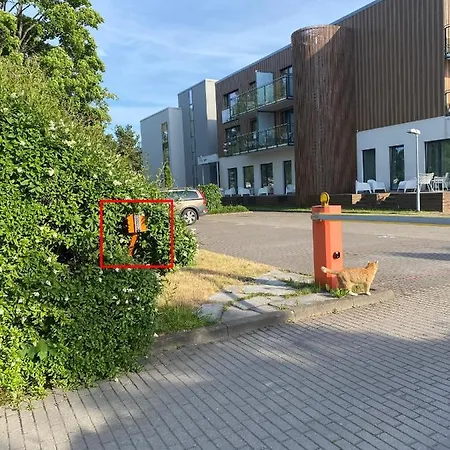 公寓 Paernu Beachside Apartment I Aisa 39 With Balcony & Free Parking 派尔努